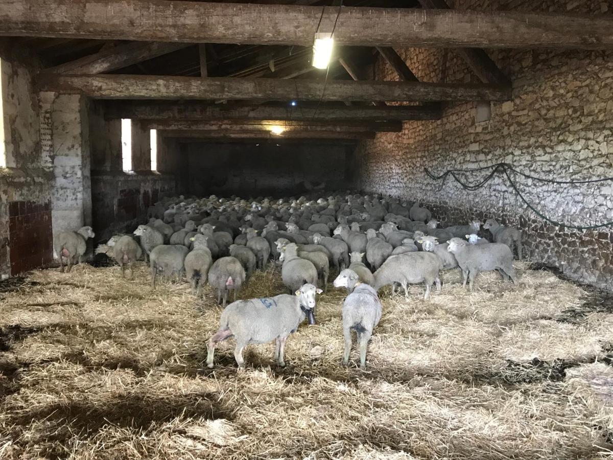 Studio A La Ferme Villa Arles Luaran gambar