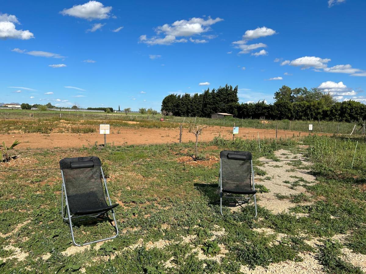 Studio A La Ferme Villa Arles Luaran gambar